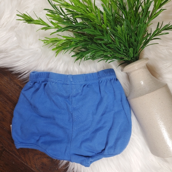 🌿5/$25 McBaby Blue Teddy Bear Shorts | sz 3-6m - Picture 4 of 6